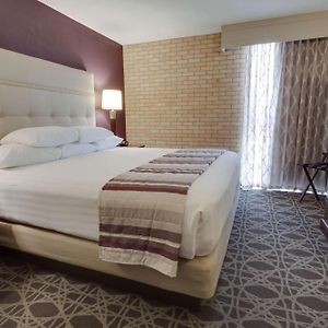 Superior King Suite